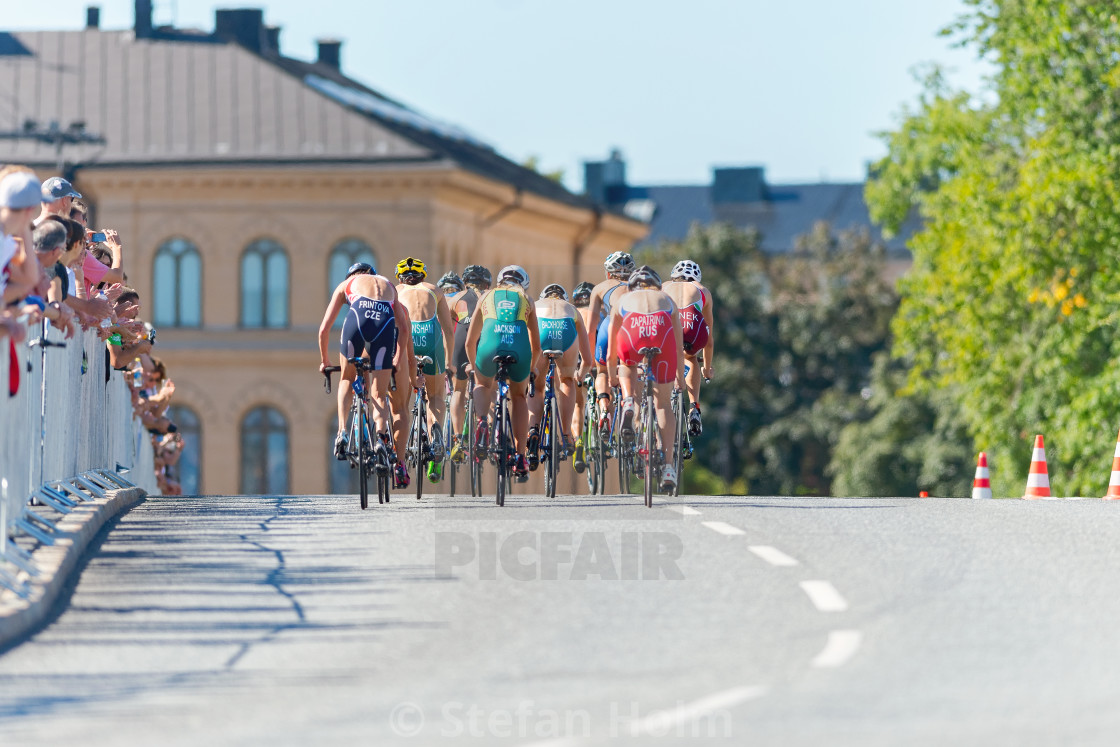 "Leading group of triathlete cyclists in the Womens ITU World Tri" by Stefan Holm - $6.29 "Leading group of triathlete cyclists in the Womens ITU World Tri" stock image