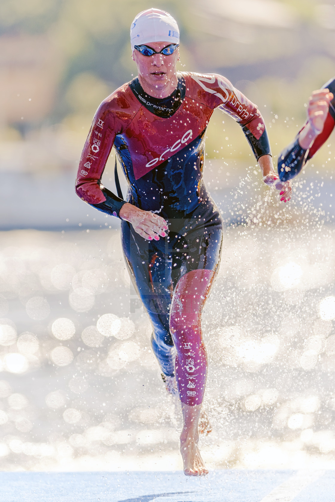 "Triathlete up of the water at the first distance at the Womens I" by Stefan Holm - $6.31 "Triathlete up of the water at the first distance at the Womens I" stock image