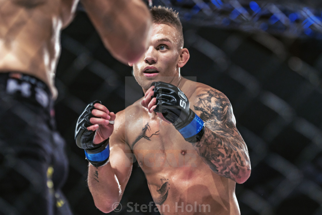 "Fight between Edris Rafigh vs Viktor Gustavsson at Superior Chal" by Stefan Holm - $6.32 "Fight between Edris Rafigh vs Viktor Gustavsson at Superior Chal" stock image