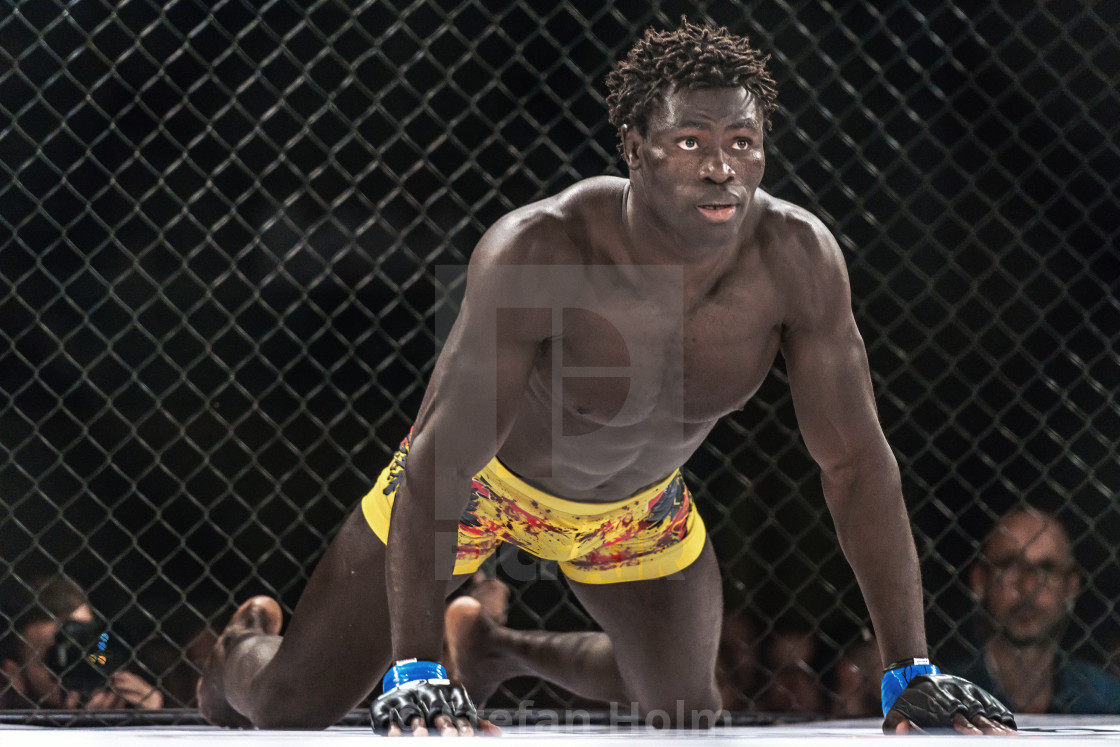 "Alexander Bergman vs Lahat Faye at Superior Challenge 14" by Stefan Holm - $6.35 "Alexander Bergman vs Lahat Faye at Superior Challenge 14" stock image