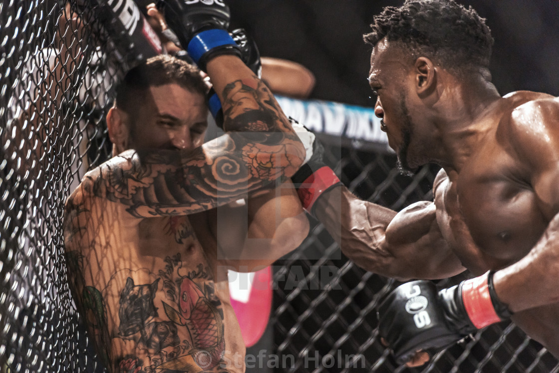 "Papy Abedi vs Bruno Carvalho at Superior Challenge 14" by Stefan Holm - $6.34 "Papy Abedi vs Bruno Carvalho at Superior Challenge 14" stock image