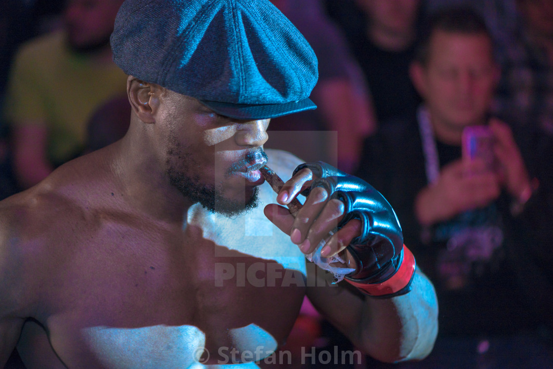 "Presentation beforfe the MMA title fight between Papy Abedi vs D" by Stefan Holm - $6.32 "Presentation beforfe the MMA title fight between Papy Abedi vs D" stock image