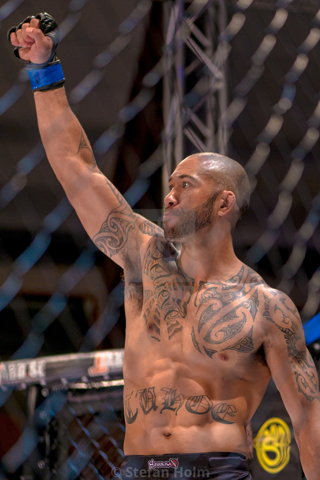 "Presentation beforfe the MMA title fight between Papy Abedi vs D" by Stefan Holm - $6.34 "Presentation beforfe the MMA title fight between Papy Abedi vs D" stock image