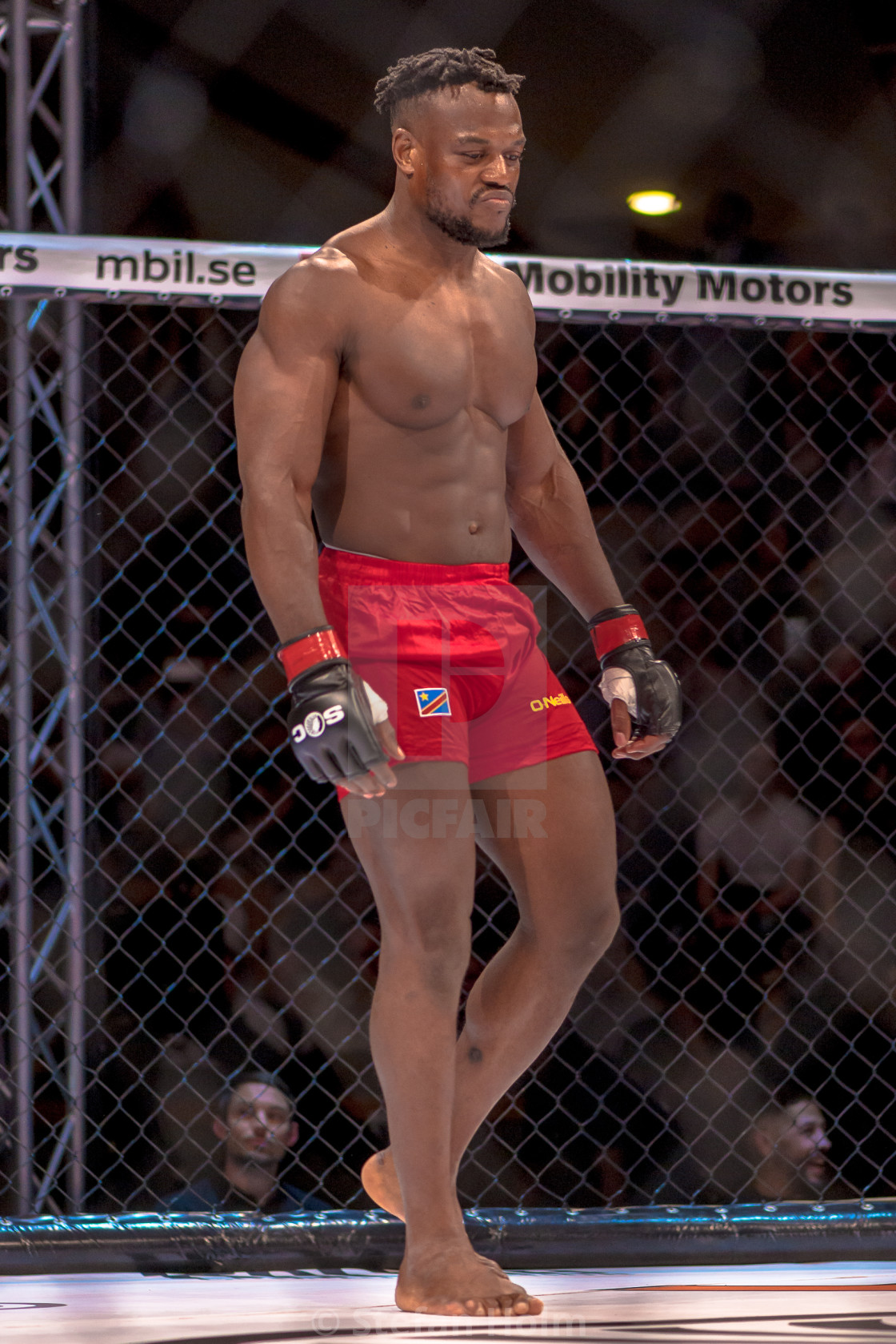 "Presentation beforfe the MMA title fight between Papy Abedi vs D" by Stefan Holm - $6.34 "Presentation beforfe the MMA title fight between Papy Abedi vs D" stock image