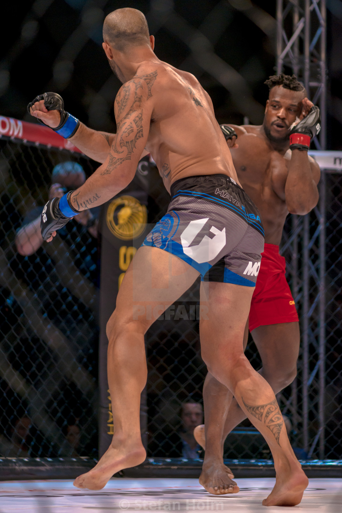 "MMA title fight between Papy Abedi vs Dylan Andrews at Superior" by Stefan Holm - $6.32 "MMA title fight between Papy Abedi vs Dylan Andrews at Superior" stock image