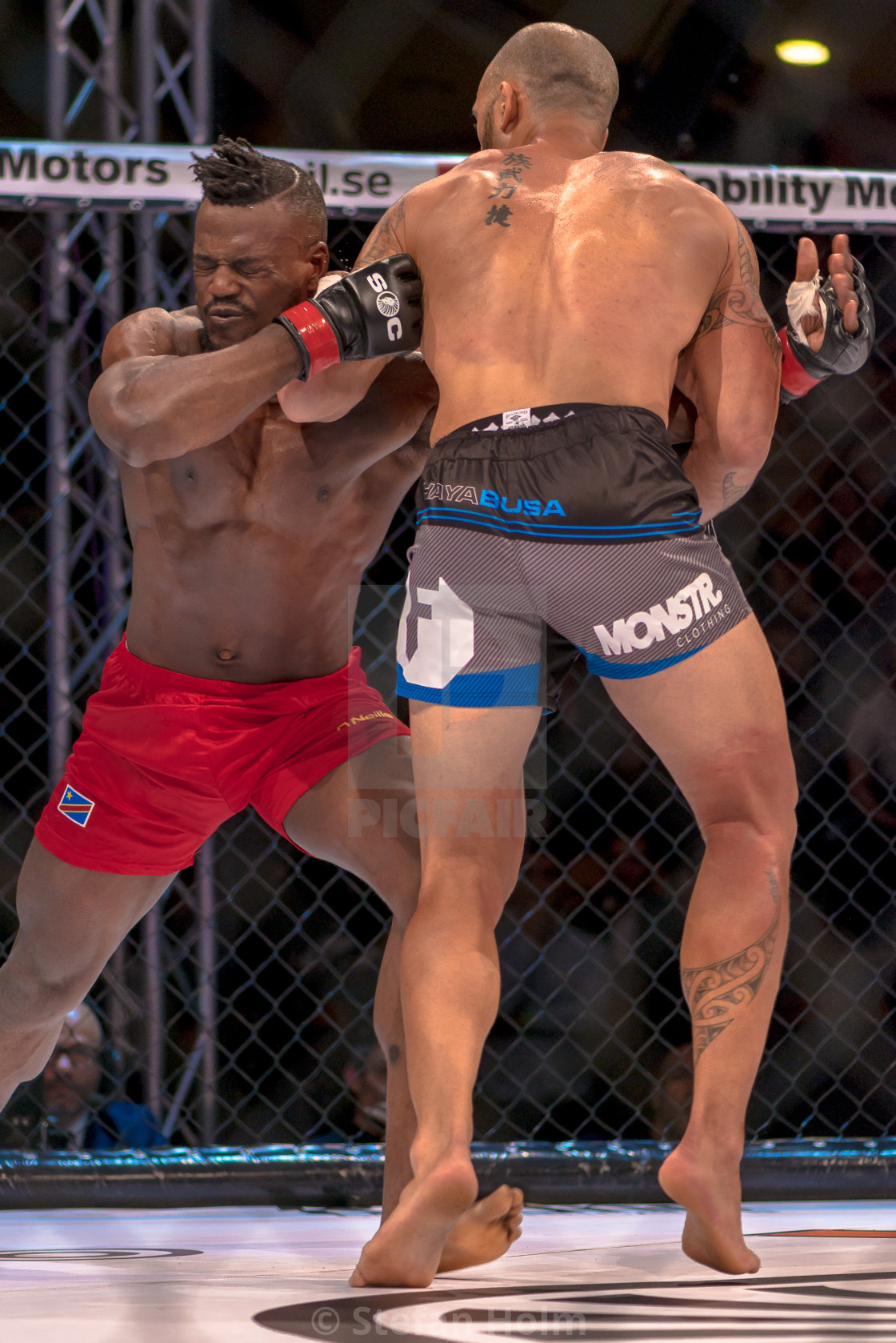 "MMA title fight between Papy Abedi vs Dylan Andrews at Superior" by Stefan Holm - $6.34 "MMA title fight between Papy Abedi vs Dylan Andrews at Superior" stock image