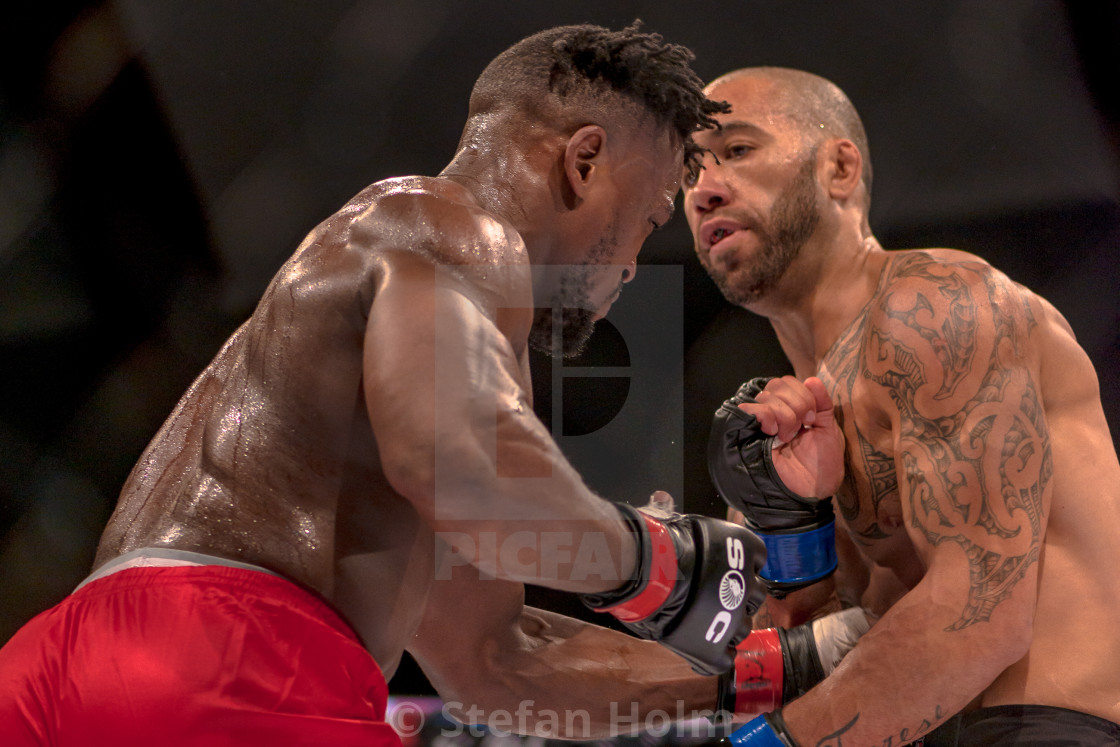 "MMA title fight between Papy Abedi vs Dylan Andrews at Superior" by Stefan Holm - $6.31 "MMA title fight between Papy Abedi vs Dylan Andrews at Superior" stock image