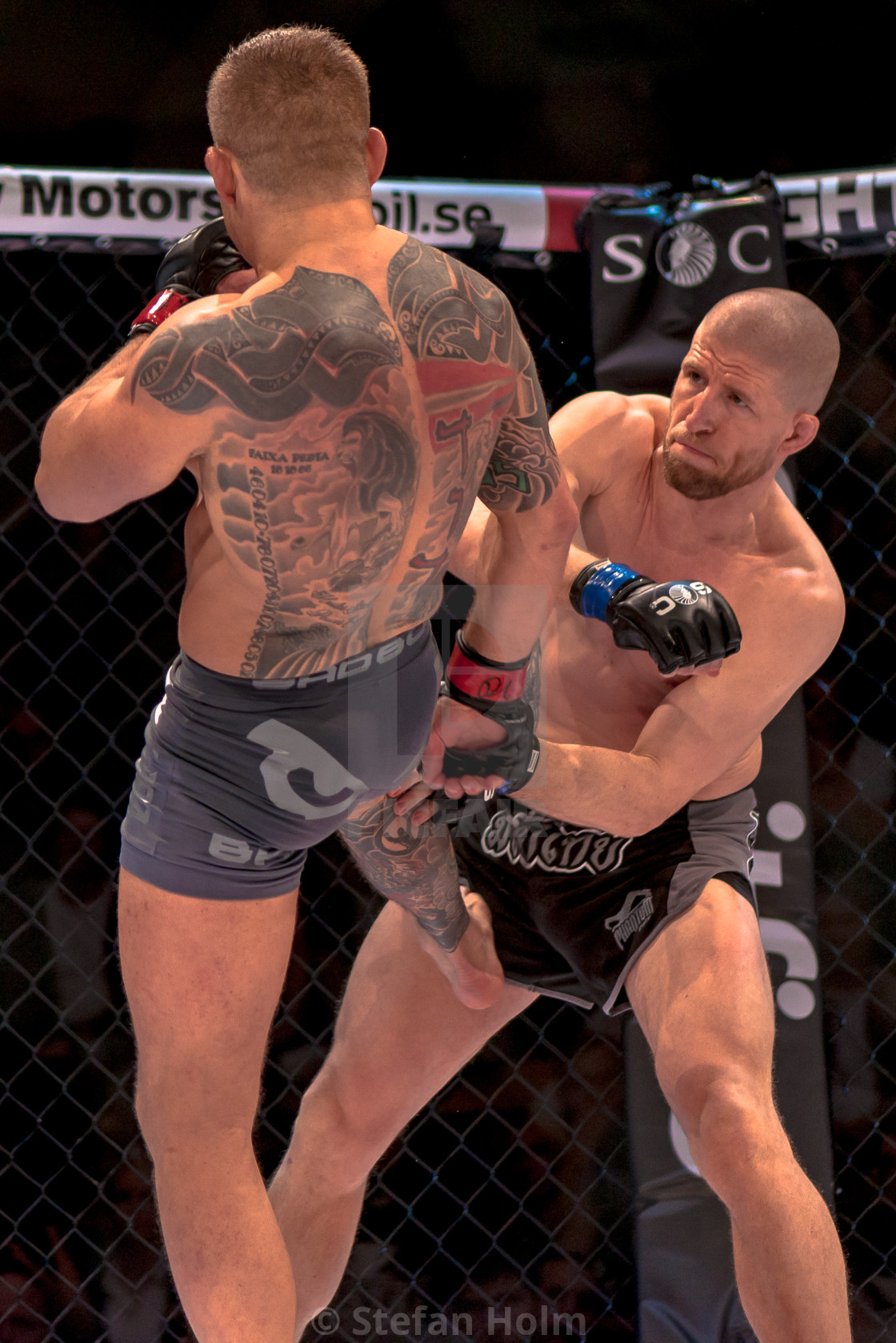 "MMA title fight between David Bielkheden vs Morten Djursaa at Su" by Stefan Holm - $6.32 "MMA title fight between David Bielkheden vs Morten Djursaa at Su" stock image