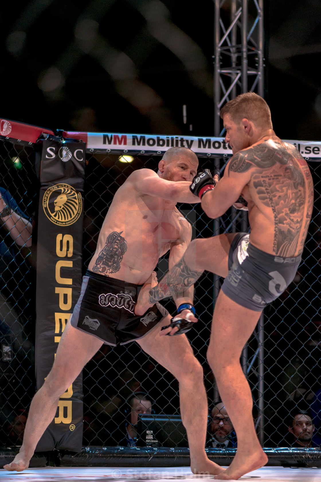 "MMA title fight between David Bielkheden vs Morten Djursaa at Su" by Stefan Holm - $6.29 "MMA title fight between David Bielkheden vs Morten Djursaa at Su" stock image