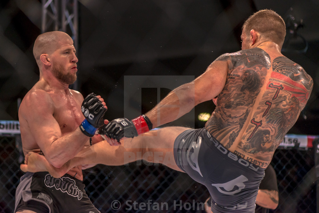"MMA title fight between David Bielkheden vs Morten Djursaa at Su" by Stefan Holm - $6.32 "MMA title fight between David Bielkheden vs Morten Djursaa at Su" stock image