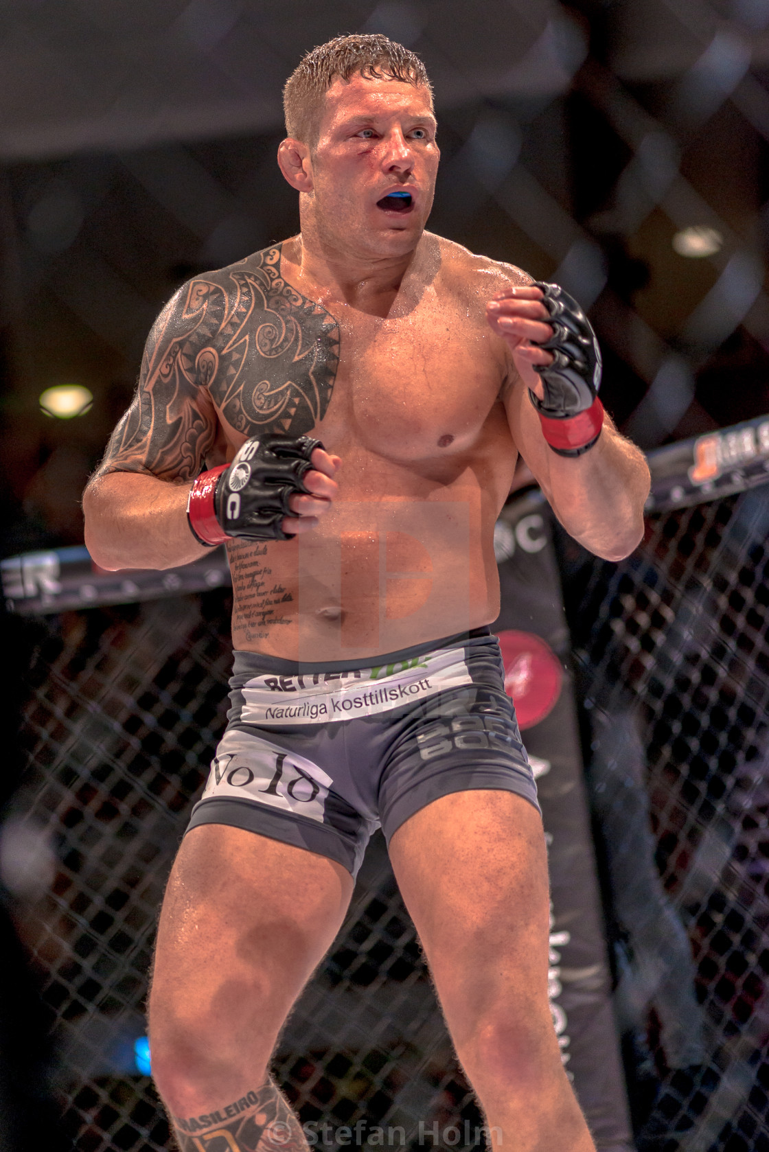 "MMA title fight between David Bielkheden vs Morten Djursaa at Su" by Stefan Holm - $6.32 "MMA title fight between David Bielkheden vs Morten Djursaa at Su" stock image