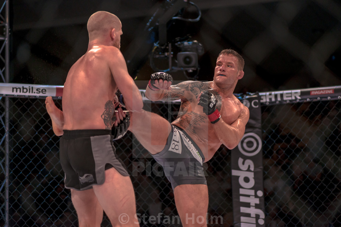 "MMA title fight between David Bielkheden vs Morten Djursaa at Su" by Stefan Holm - $6.32 "MMA title fight between David Bielkheden vs Morten Djursaa at Su" stock image