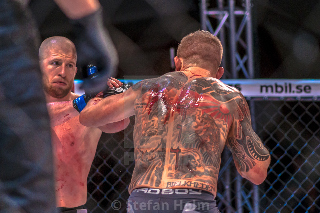 "MMA title fight between David Bielkheden vs Morten Djursaa at Su" by Stefan Holm - $6.30 "MMA title fight between David Bielkheden vs Morten Djursaa at Su" stock image
