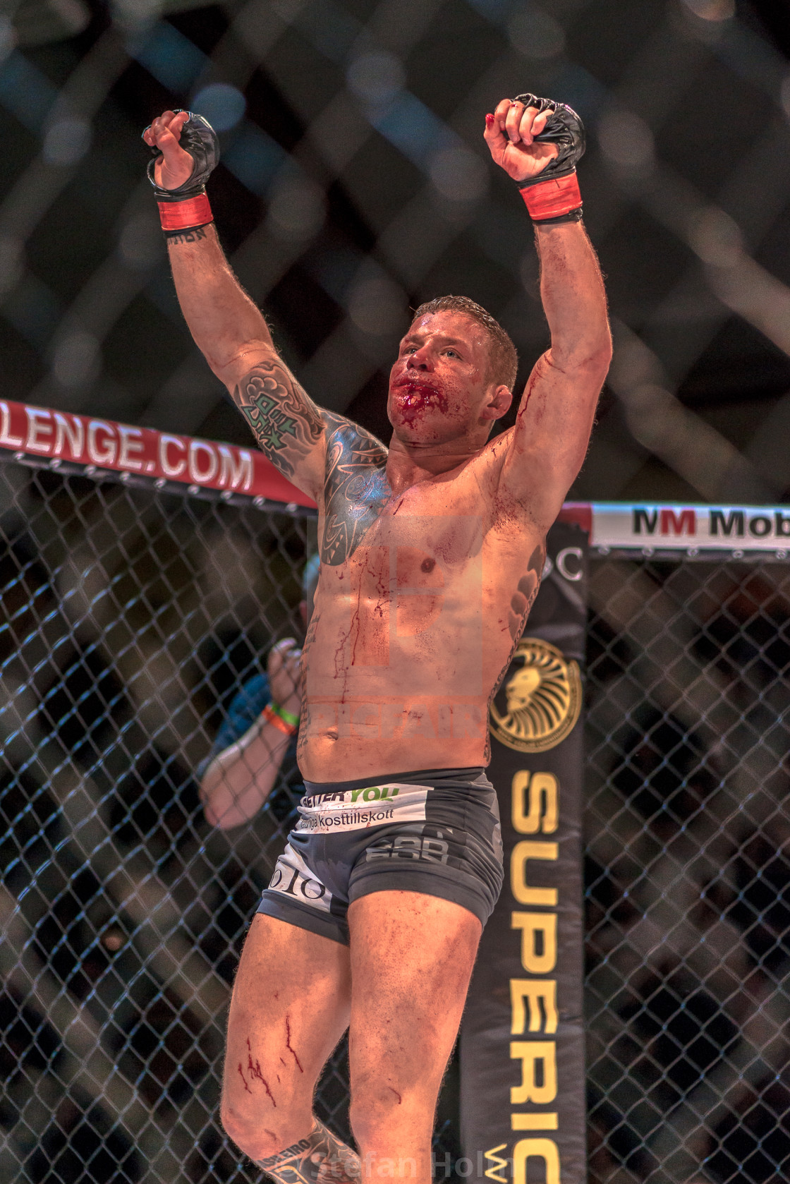 "MMA title fight between David Bielkheden vs Morten Djursaa at Su" by Stefan Holm - $6.34 "MMA title fight between David Bielkheden vs Morten Djursaa at Su" stock image