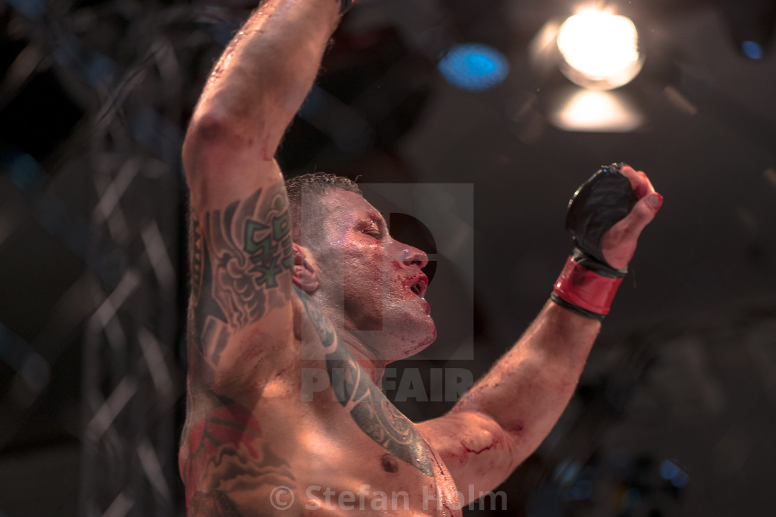 "MMA title fight between David Bielkheden vs Morten Djursaa at Su" by Stefan Holm - $6.32 "MMA title fight between David Bielkheden vs Morten Djursaa at Su" stock image