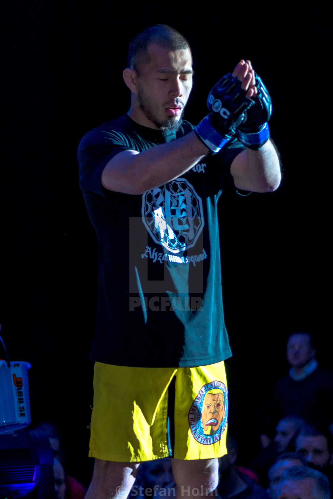 "Presentation of the MMA fight between Simon Skold vs Juntaro Ami" by Stefan Holm - $6.35 "Presentation of the MMA fight between Simon Skold vs Juntaro Ami" stock image