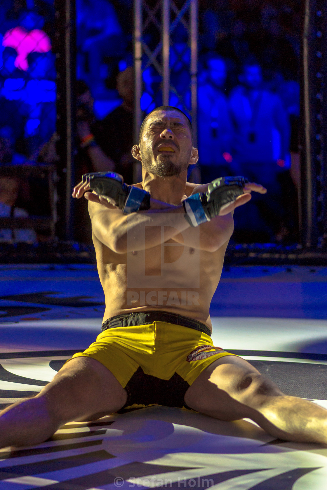 "Presentation of the MMA fight between Simon Skold vs Juntaro Ami" by Stefan Holm - $6.32 "Presentation of the MMA fight between Simon Skold vs Juntaro Ami" stock image