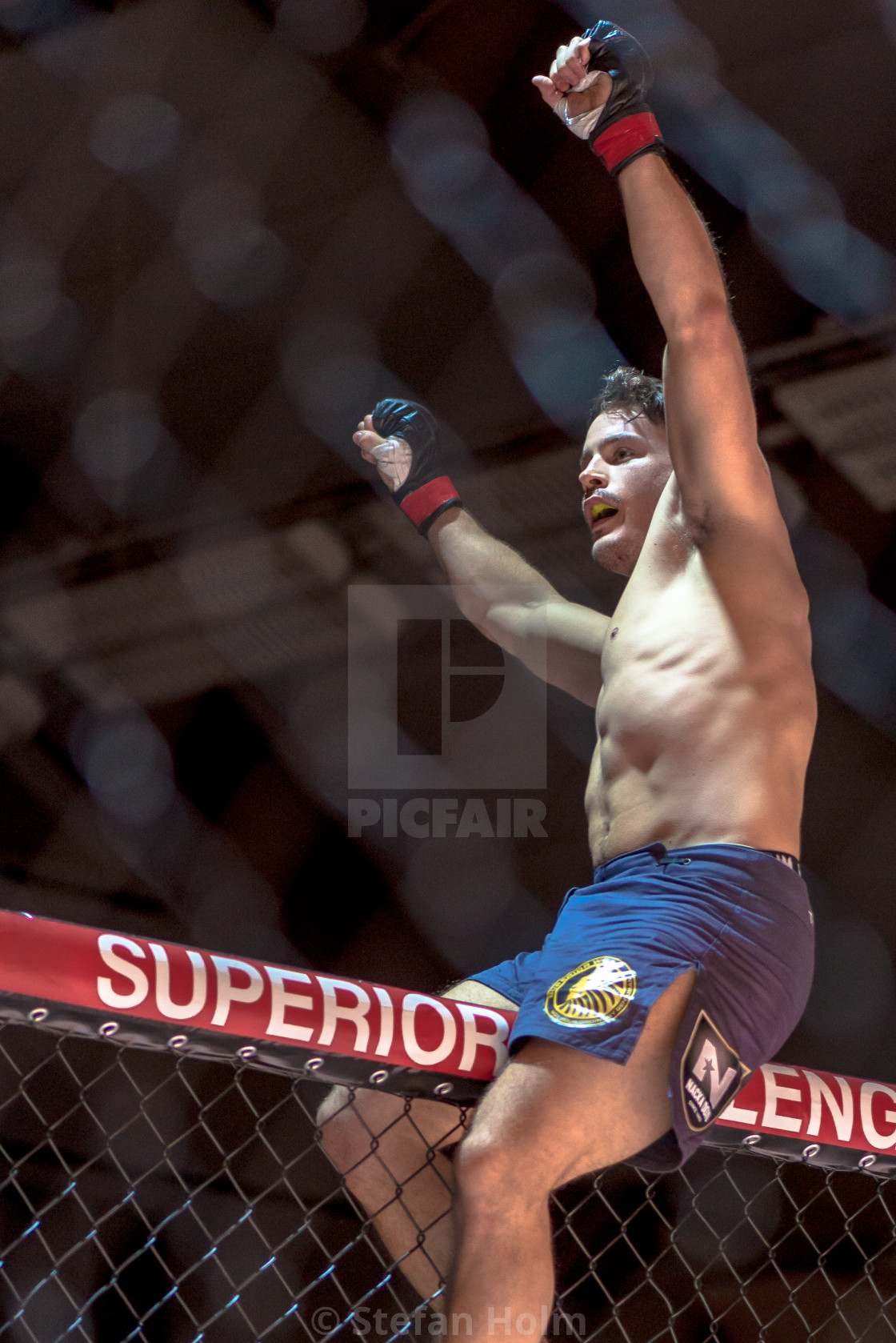 "Winner Simon Skold against Juntaro Ami celebrating at Superior C" by Stefan Holm - $6.31 "Winner Simon Skold against Juntaro Ami celebrating at Superior C" stock image