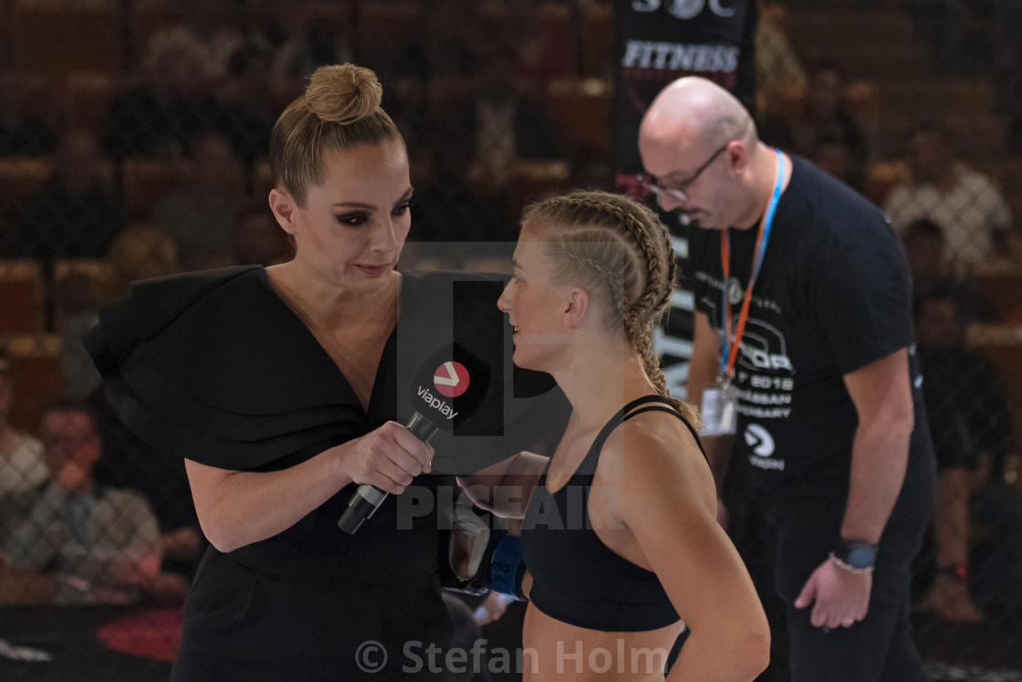 "MMA fight between Anna Astvik (SWE) vs Elin Oberg (SWE) at the S" by Stefan Holm - $6.32 "MMA fight between Anna Astvik (SWE) vs Elin Oberg (SWE) at the S" stock image
