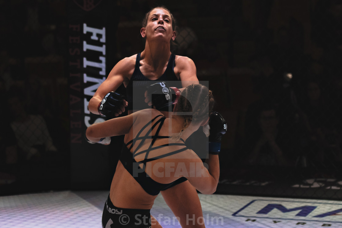 "MMA fight between Anna Astvik (SWE) vs Elin Oberg (SWE) at the S" by Stefan Holm - $6.30 "MMA fight between Anna Astvik (SWE) vs Elin Oberg (SWE) at the S" stock image