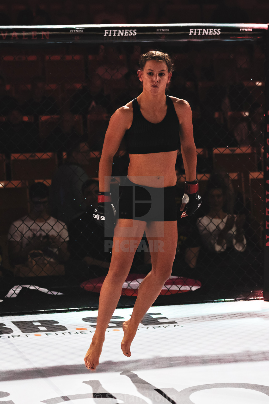 "MMA fight between Anna Astvik (SWE) vs Elin Oberg (SWE) at the S" by Stefan Holm - $6.32 "MMA fight between Anna Astvik (SWE) vs Elin Oberg (SWE) at the S" stock image