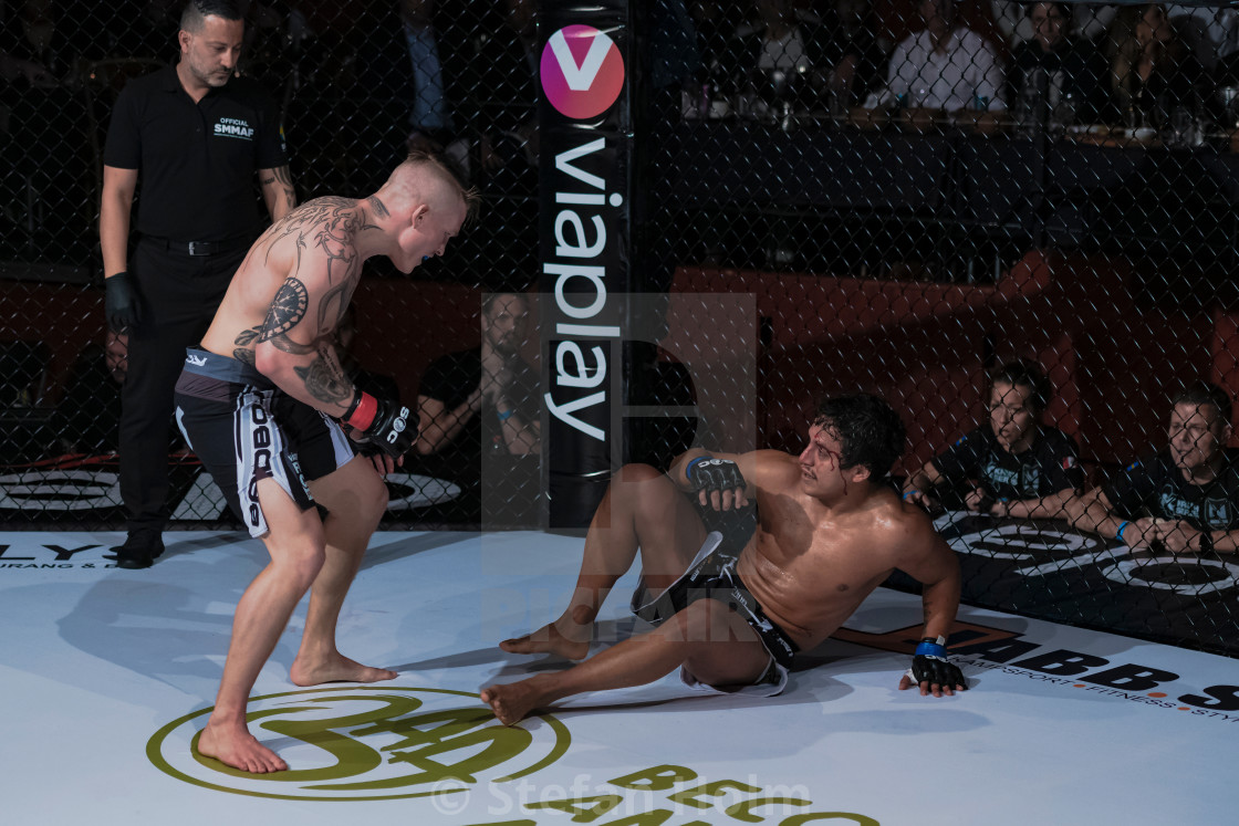 "Superior challenge 19 between Robin Roos (SWE) and Christopher C" by Stefan Holm - $6.34 "Superior challenge 19 between Robin Roos (SWE) and Christopher C" stock image