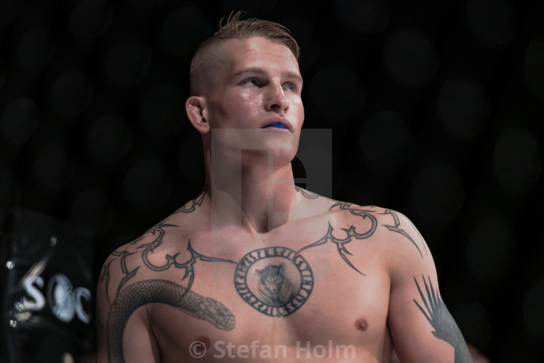 "Superior challenge 19 between Robin Roos (SWE) and Christopher C" by Stefan Holm - $6.35 "Superior challenge 19 between Robin Roos (SWE) and Christopher C" stock image