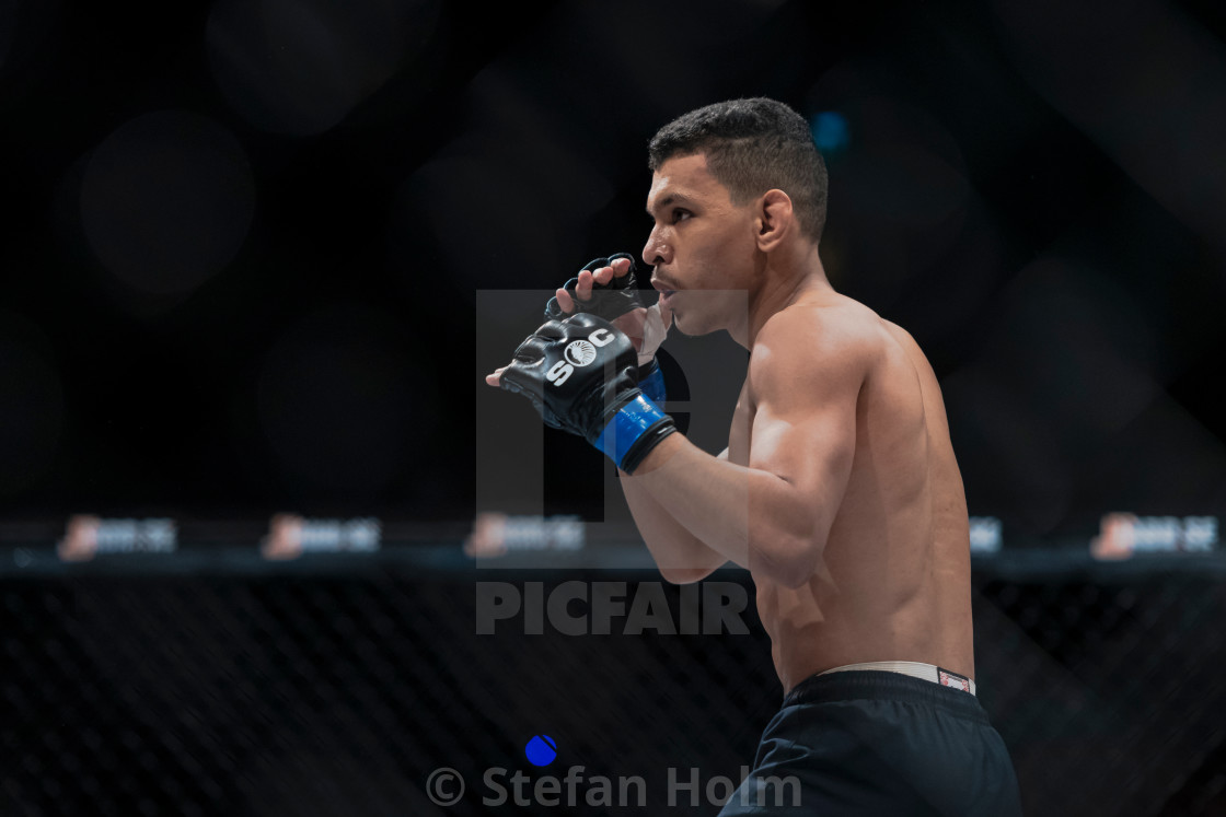 "Superior challenge 19 between Serdar Altas (SWE) and Jhonata Sil" by Stefan Holm - $6.35 "Superior challenge 19 between Serdar Altas (SWE) and Jhonata Sil" stock image