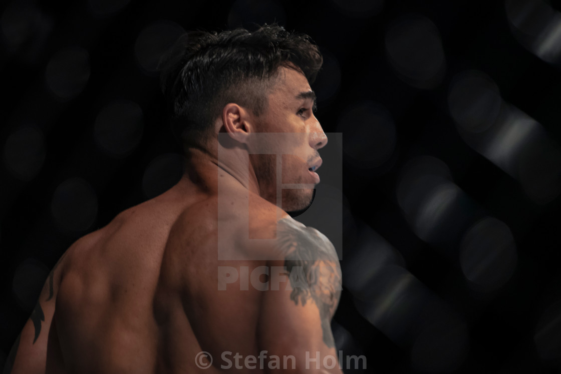 "Superior challenge 19 title bout between Diego Nunes (BRA) and S" by Stefan Holm - $6.35 "Superior challenge 19 title bout between Diego Nunes (BRA) and S" stock image