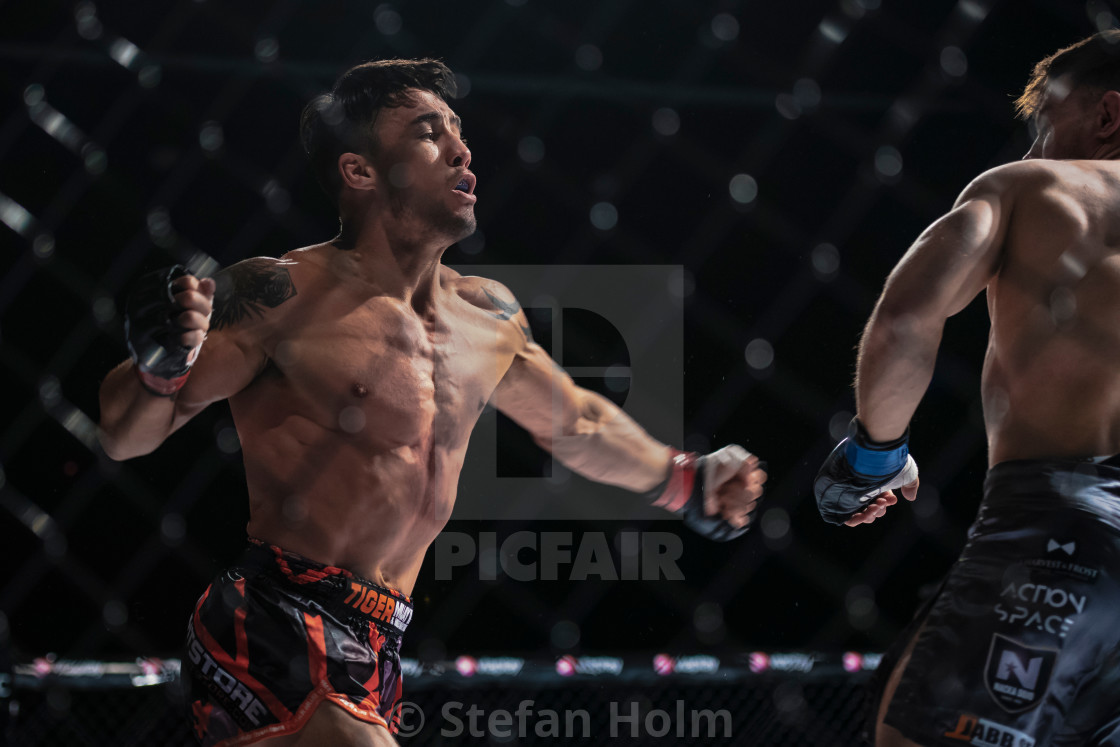 "Superior challenge 19 title bout between Diego Nunes (BRA) and S" by Stefan Holm - $6.31 "Superior challenge 19 title bout between Diego Nunes (BRA) and S" stock image
