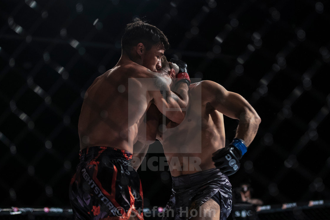"Superior challenge 19 title bout between Diego Nunes (BRA) and S" by Stefan Holm - $6.32 "Superior challenge 19 title bout between Diego Nunes (BRA) and S" stock image