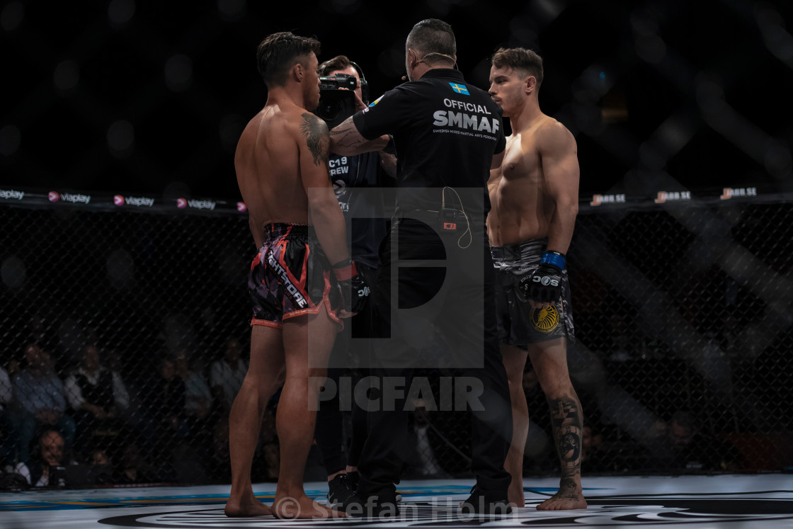 "Superior challenge 19 title bout between Diego Nunes (BRA) and S" by Stefan Holm - $6.35 "Superior challenge 19 title bout between Diego Nunes (BRA) and S" stock image