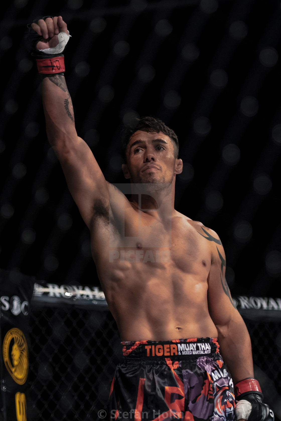 "Superior challenge 19 title bout between Diego Nunes (BRA) and S" by Stefan Holm - $6.32 "Superior challenge 19 title bout between Diego Nunes (BRA) and S" stock image