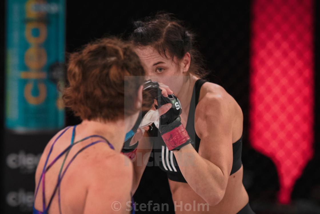 "Superior challenge 20 between Fannie Redman (SWE) and Zejna Krantic (BIH)" by Stefan Holm - $6.32 "Superior challenge 20 between Fannie Redman (SWE) and Zejna Krantic (BIH)" stock image
