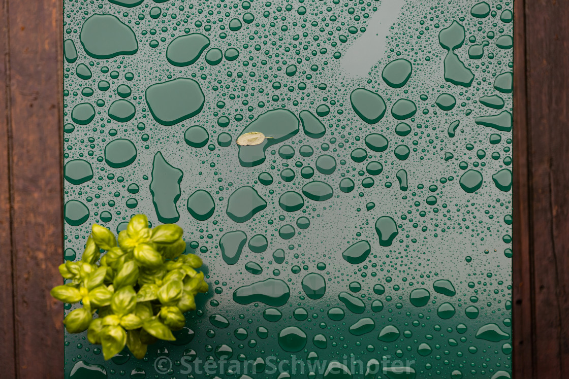 "Green table with rain puddles" by Stefan Schweihofer - $12.57 "Green table with rain puddles" stock image