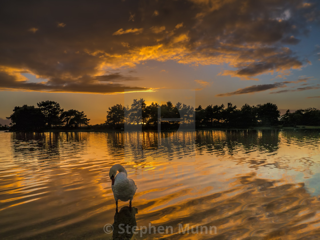 "Sunset over Hatchet Pond, New Forest National Park" by Stephen Munn - £15.25 "Sunset over Hatchet Pond, New Forest National Park" stock image