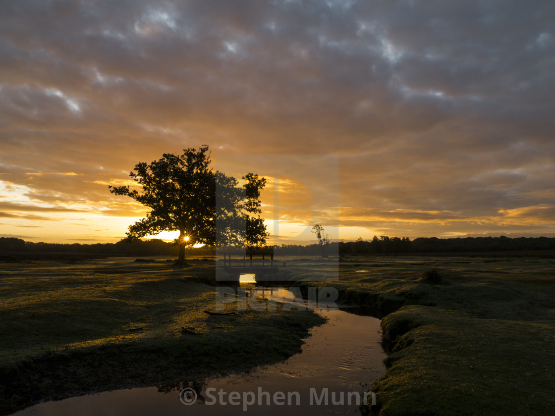 "Sunrise over Beaulieu River, New Forest National Park" by Stephen Munn - £15.25 "Sunrise over Beaulieu River, New Forest National Park" stock image