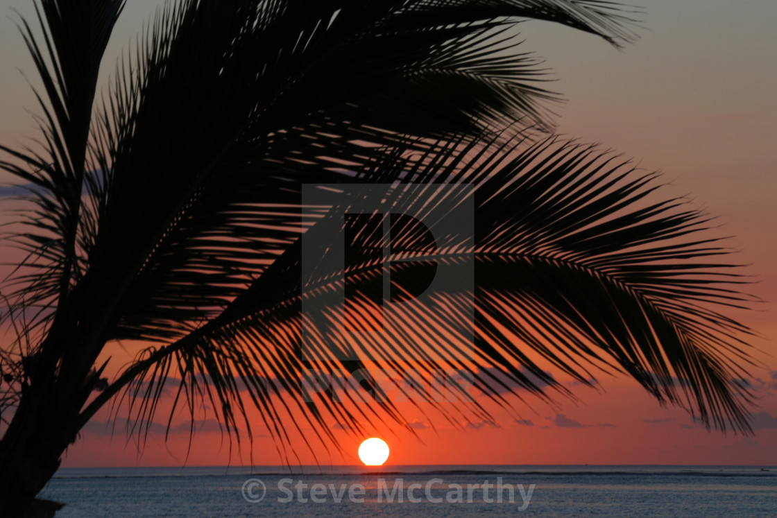 "Tropical sunset" stock image