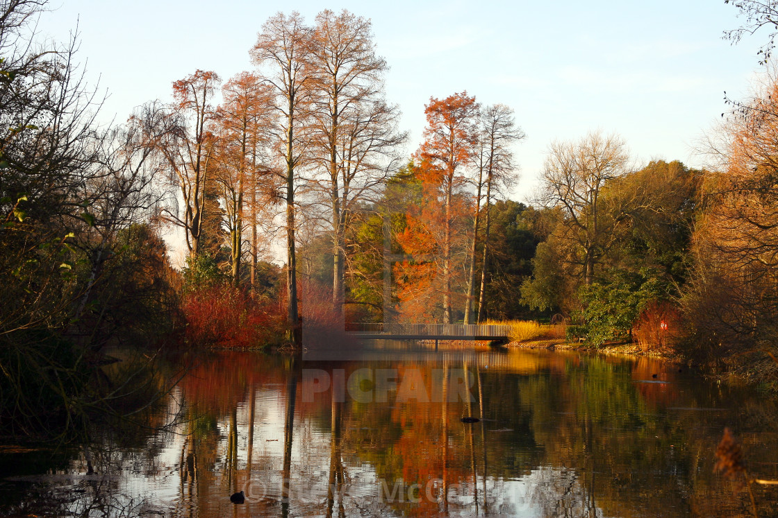 "Kew gardens lake" stock image