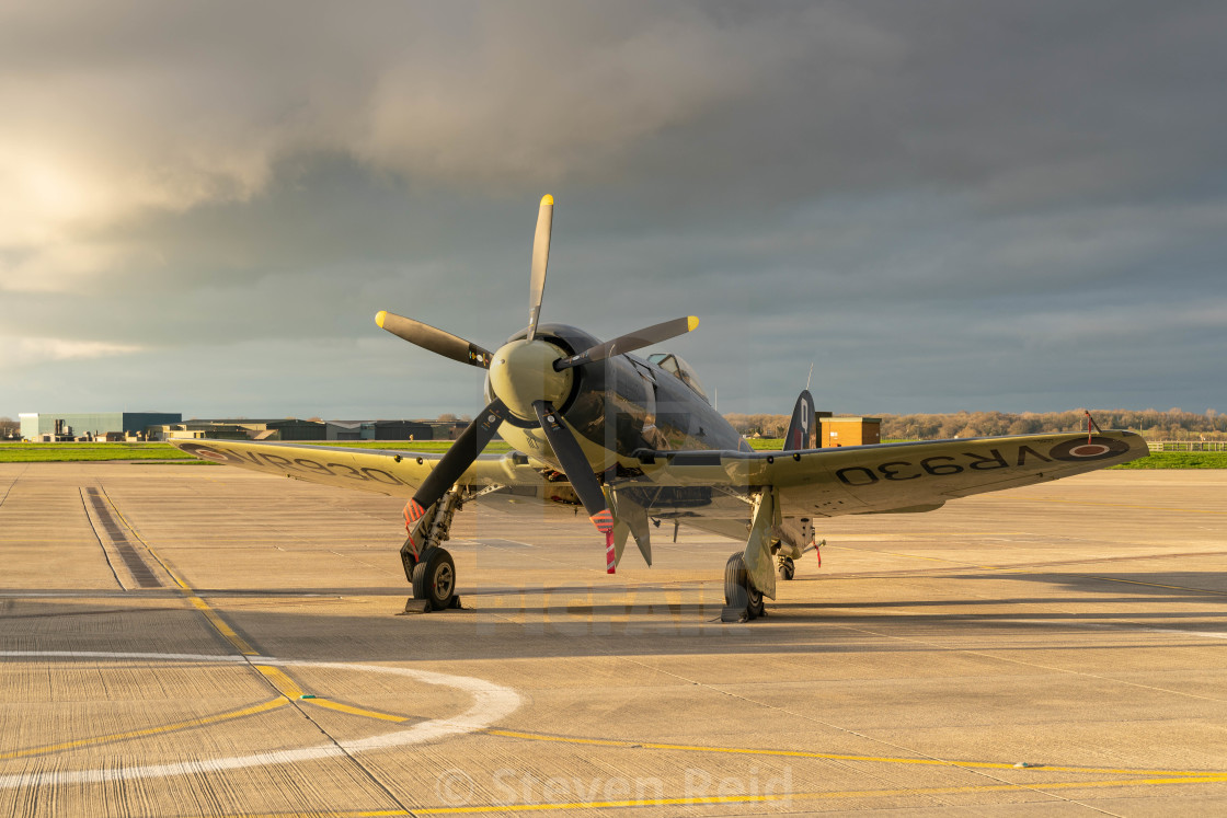 "Hawker Sea Fury" stock image