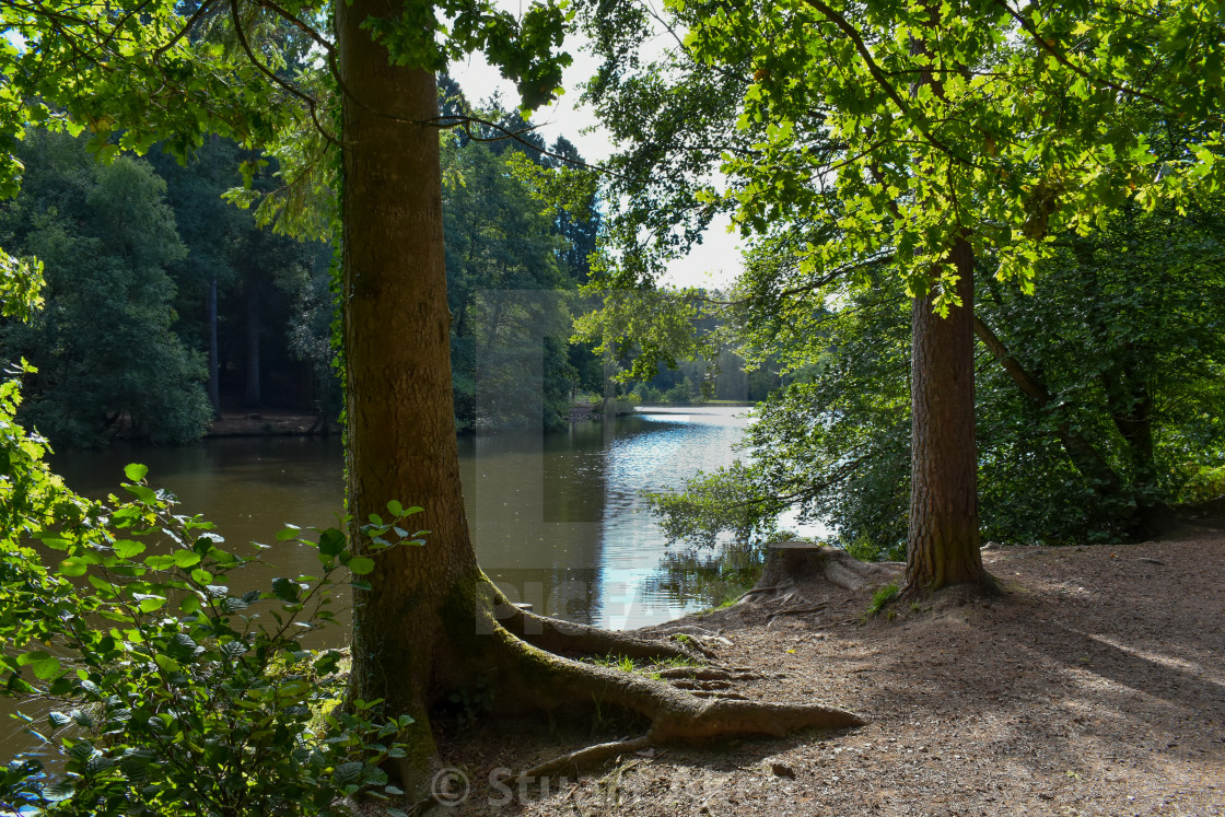 "Lakeside Walk" stock image