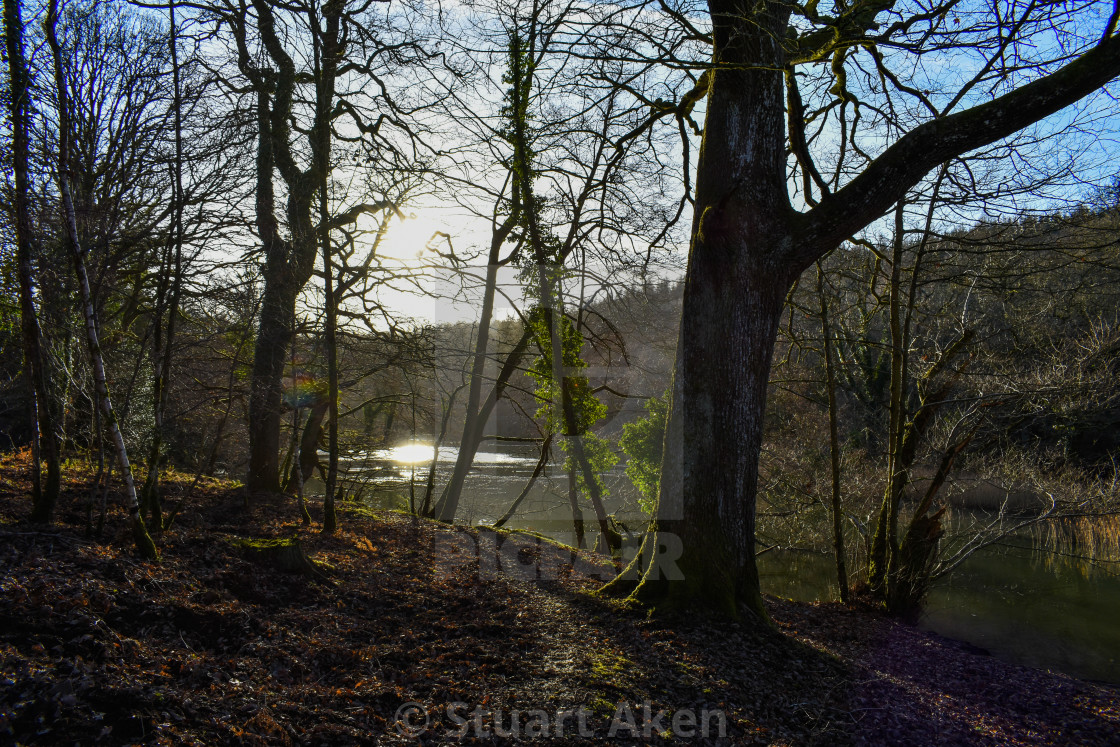 "Sun on Lake" stock image