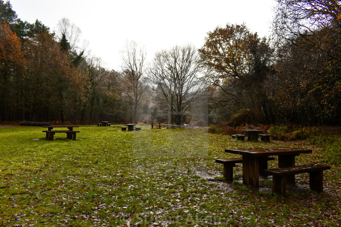 "Wet Autumn Picnic" stock image