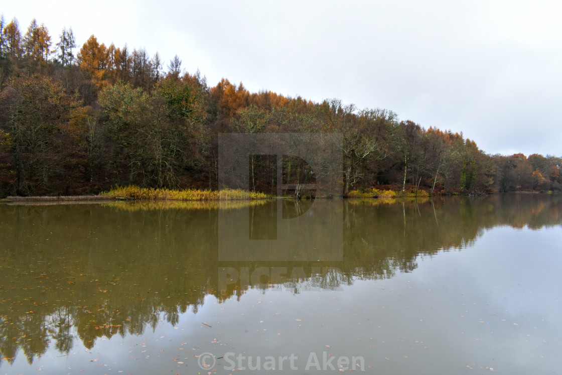 "Winter on the Water." stock image