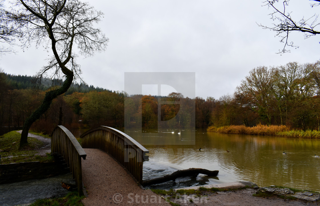 "Winter's Fading Light" stock image