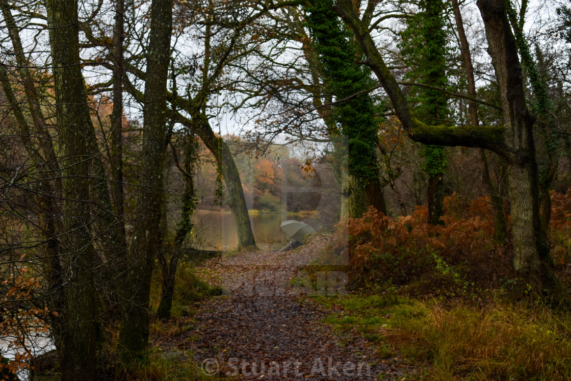 "Woodland Fishing" stock image