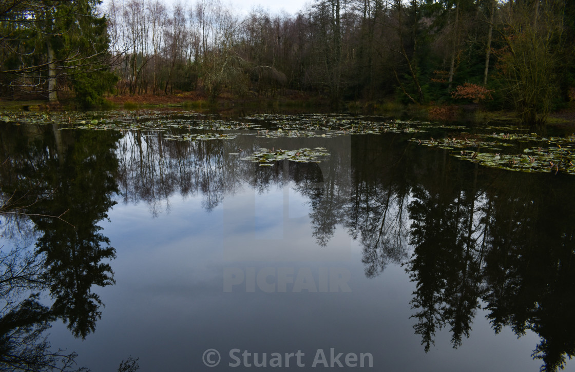 "Dark Winter Waters" stock image