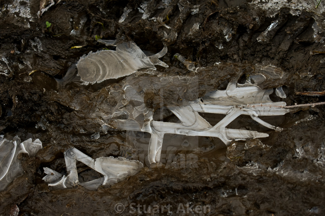 "Ice Construct" stock image