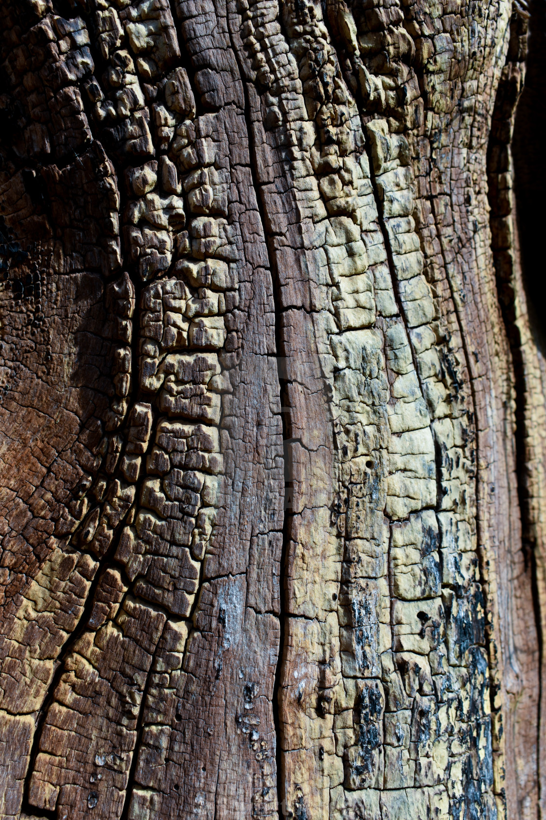 "Experienced Wood #24" by Stuart Aken - $9.27 "Experienced Wood #24" stock image