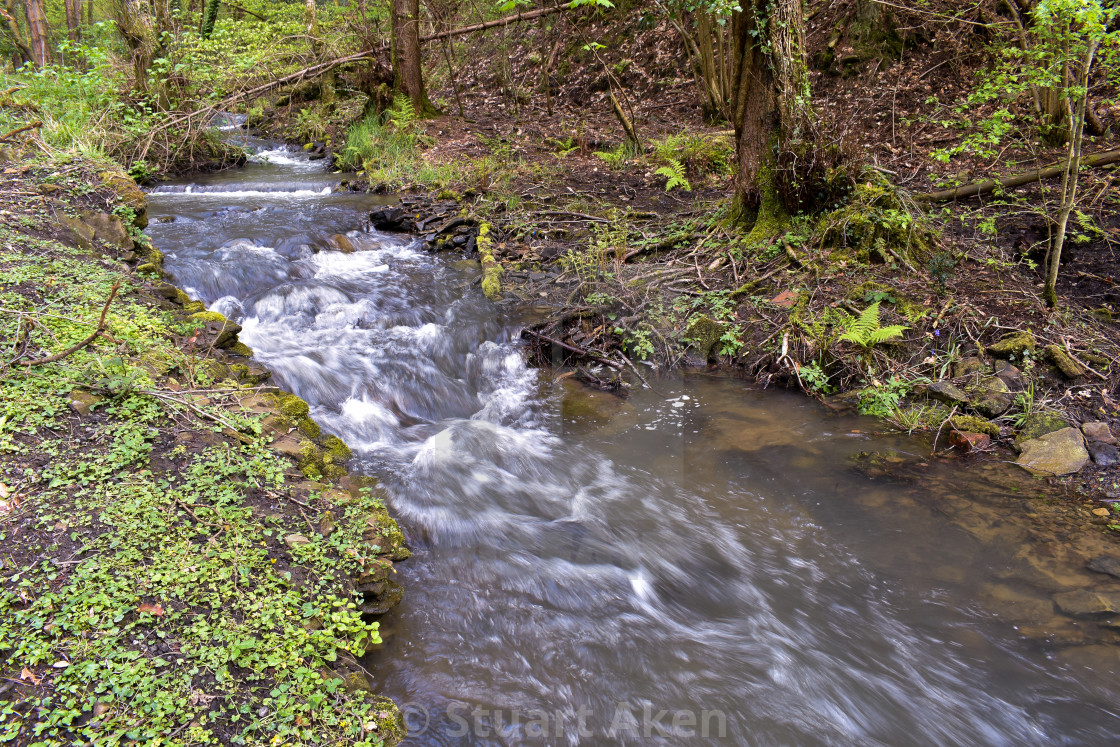 "Forest Waters #26" stock image